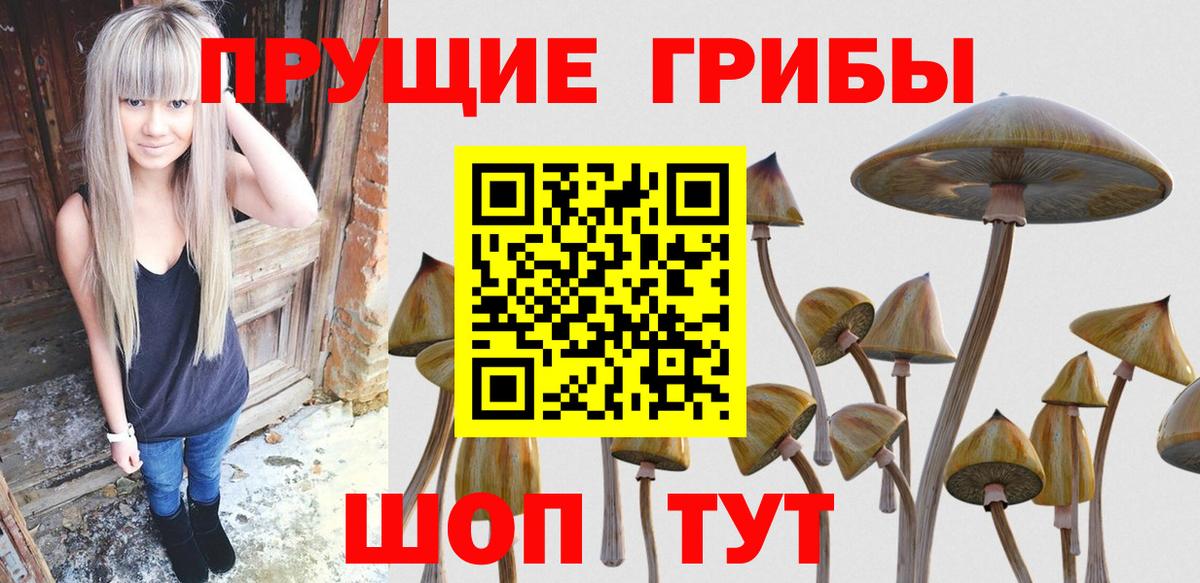 Горячий Ключ  Псилоцибиновые грибы MAGIC MUSHROOMS  Вход с VPN 