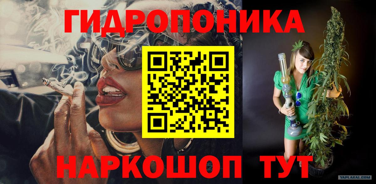Шишки марихуана сатива Горячий Ключ